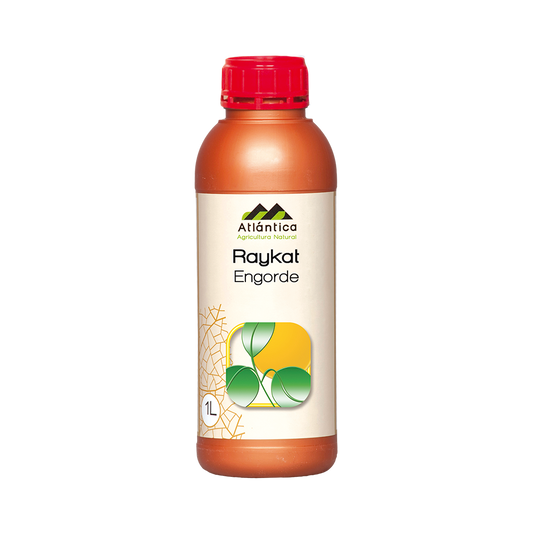 Raykat® 1 l. Engorde | Bioestimulante para Engorde de Frutos Apto para Hidroponía