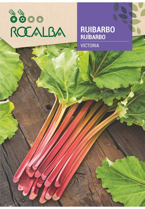 RUIBARBO SEMILLAS 1 GR. ROCALBA