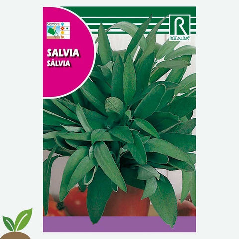 SALVIA - SOBRE DE SEMILLAS 2 G.