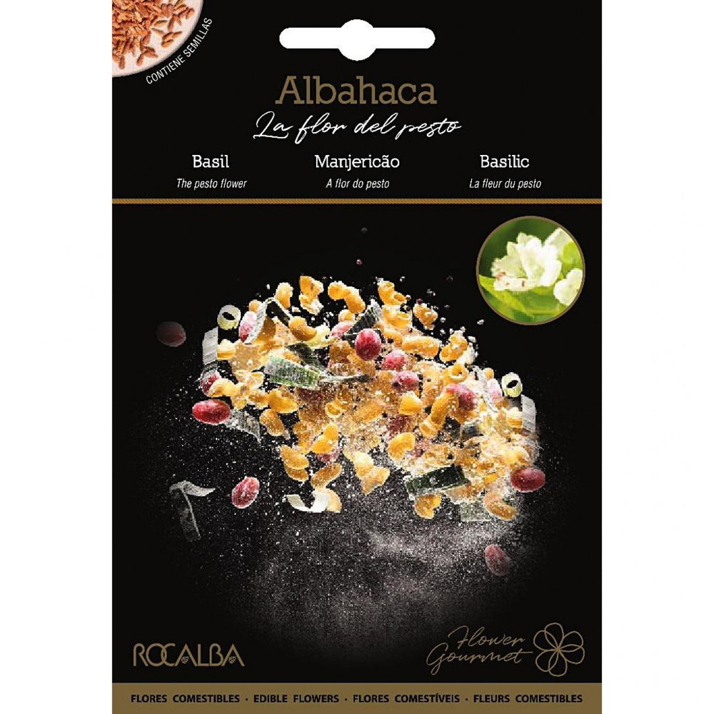 SEM. MANJERICÃO "A FLOR DO PESTO" - ROCALBA GOURMET