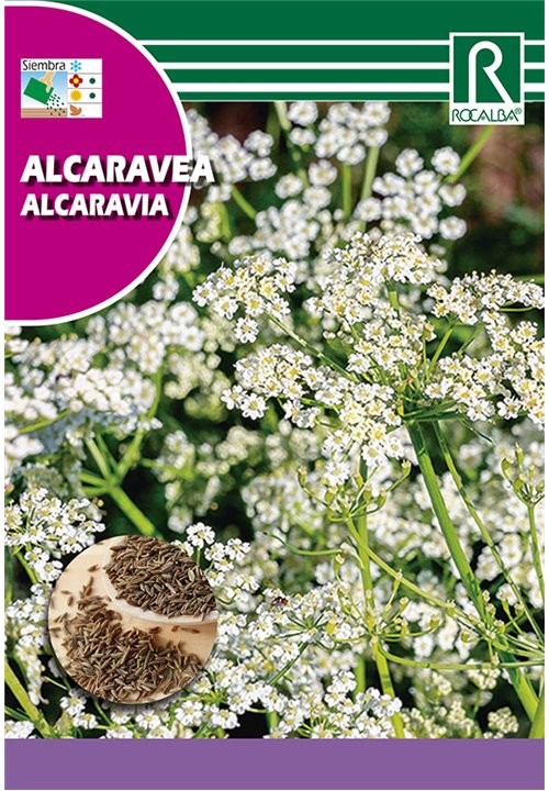SEM. ALCARAVEA 6GR - ROCALBA