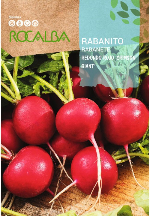 SEM. RABANETE REDONDO VERMELHO GIGANTE 10 GR. "GIGANTE CARMELO" - ROCALBA
