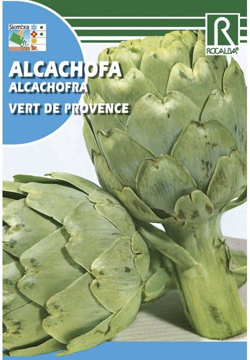SEMILLA ALCACHOFA "VERT DE PROVENCE" 1 GR.