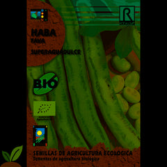 SEMENTE DE FEIJÃO ECO AGUADULCE 500 GR.