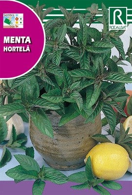 SEMENTE DE PIPERITA HORTELÃ - 0,5GR ROCALBA