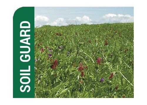 FÓRMULA SOIL GUARD SEMENTES DE FERTILIZANTE VERDE 10 KG - OUTONO