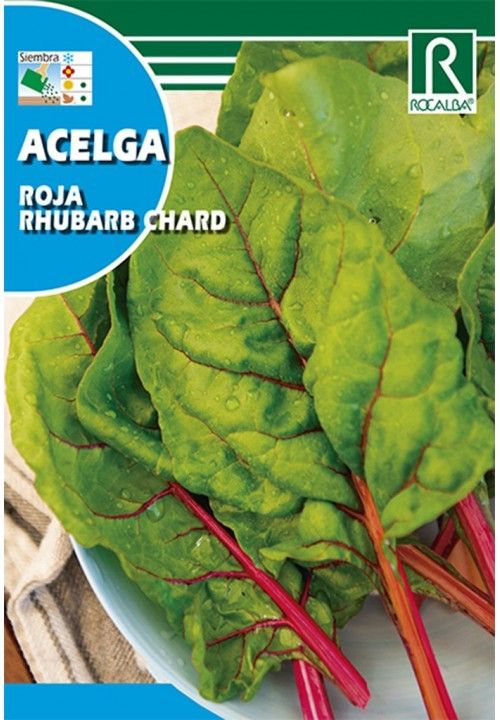 SEMENTES DE ACELGA VERMELHA 10GR "ACELICHA RUIBARBO"