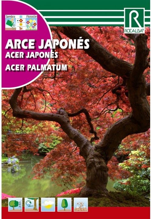 SEMILLAS ACER PALMATUM - ARCE JAPONES 0.5 GR