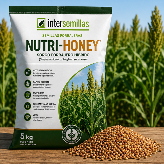 Semillas de Sorgo Forrajero Híbrido Nutri-Honey 5 kg (sorgo forrajero × pasto del Sudán)