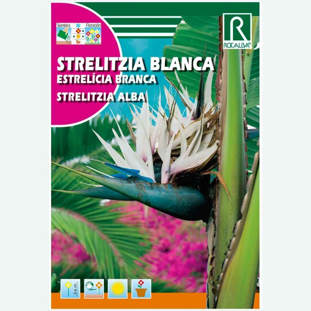 STRELITZIA BLANCA - SOBRE DE SEMILLAS 3 aprox.