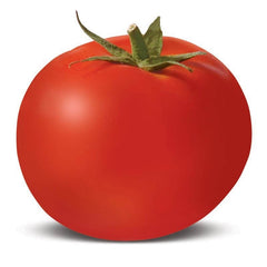 PACOTE DE TOMATE BOBCAT ORGÂNICO MATA BAJA