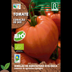 TOMATE ECO OXHEART - AMOSTRA DE SEMENTES 0,2 g