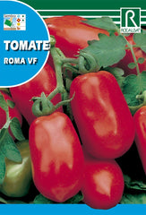 TOMATE ROMA VF