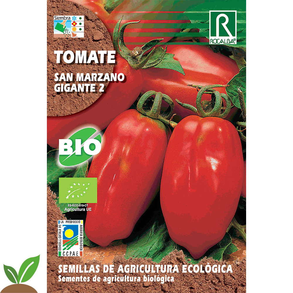 TOMATE SAN MARZANO GIGANTE ECO