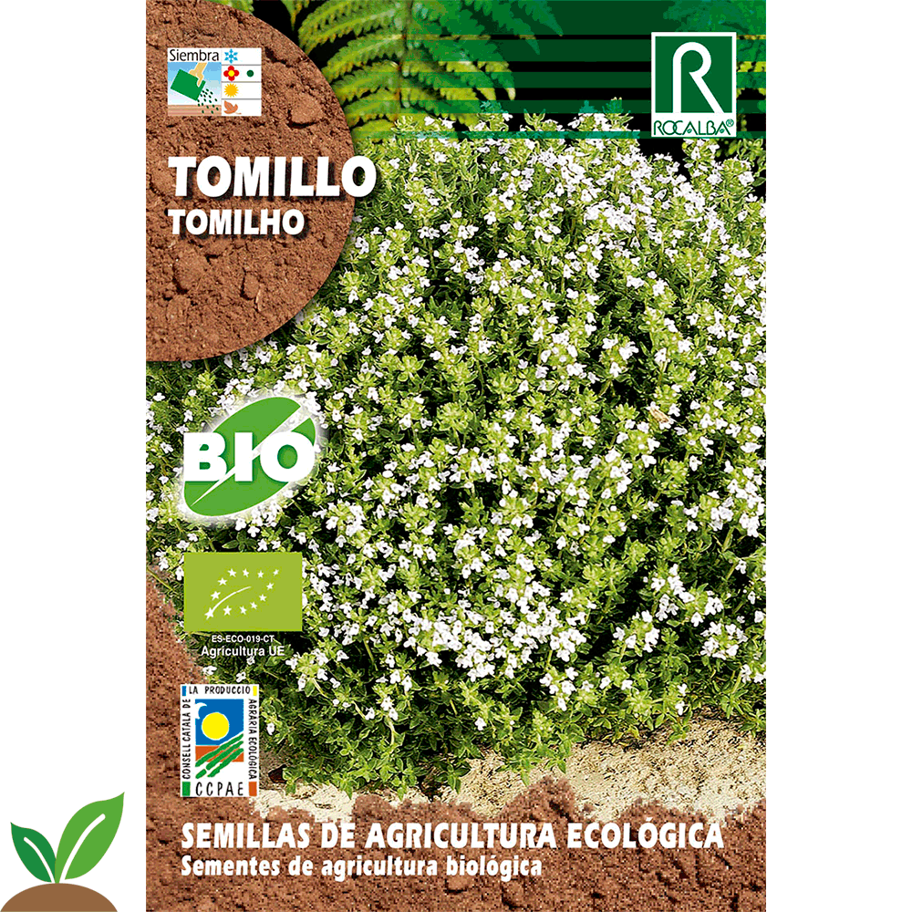 TOMILHO ECO