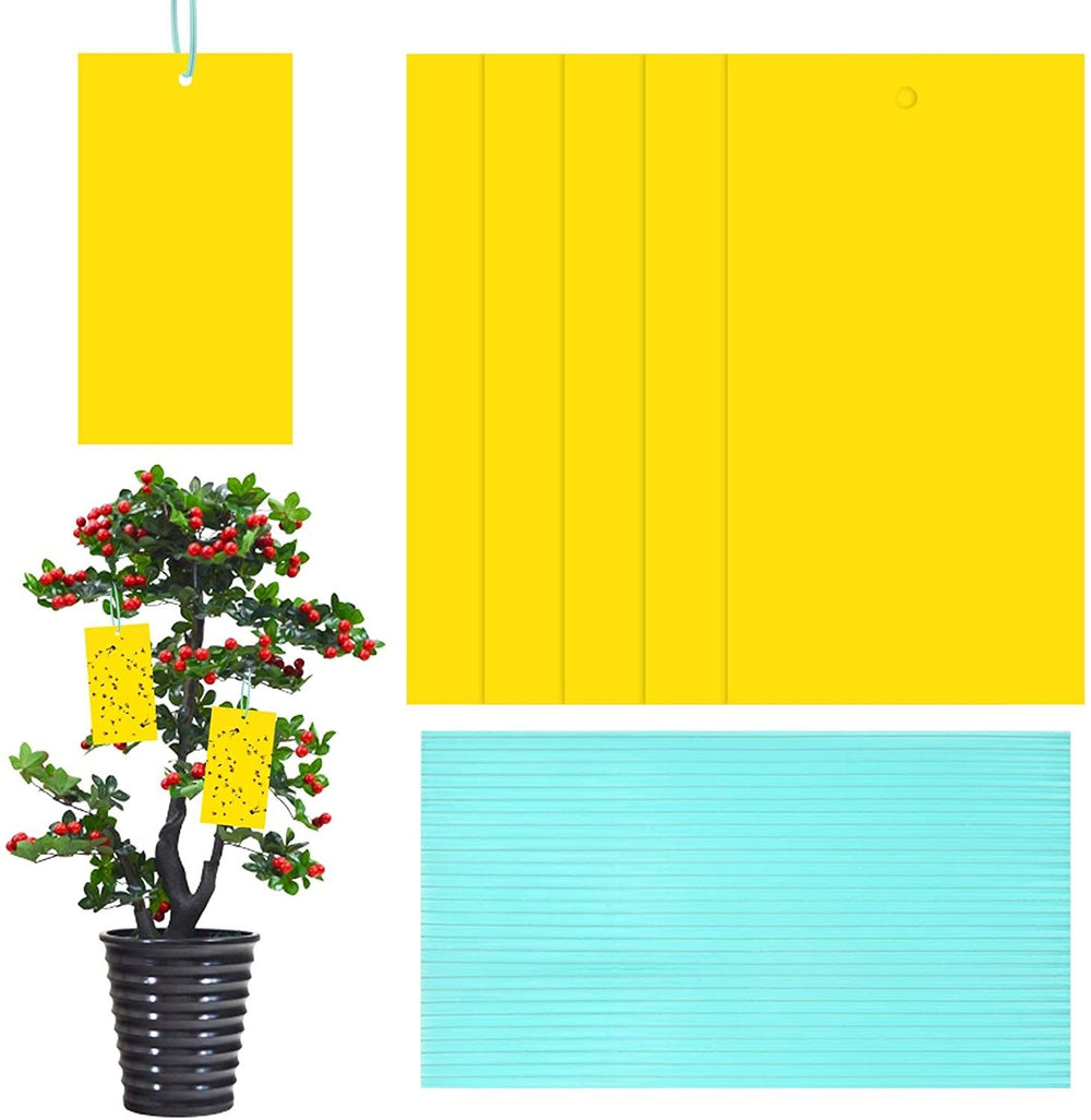 TRAMPA ADHESIVA AMARILLA 10X25 CM  20 UD. - TRAMPA CROMATICA BIOBEST