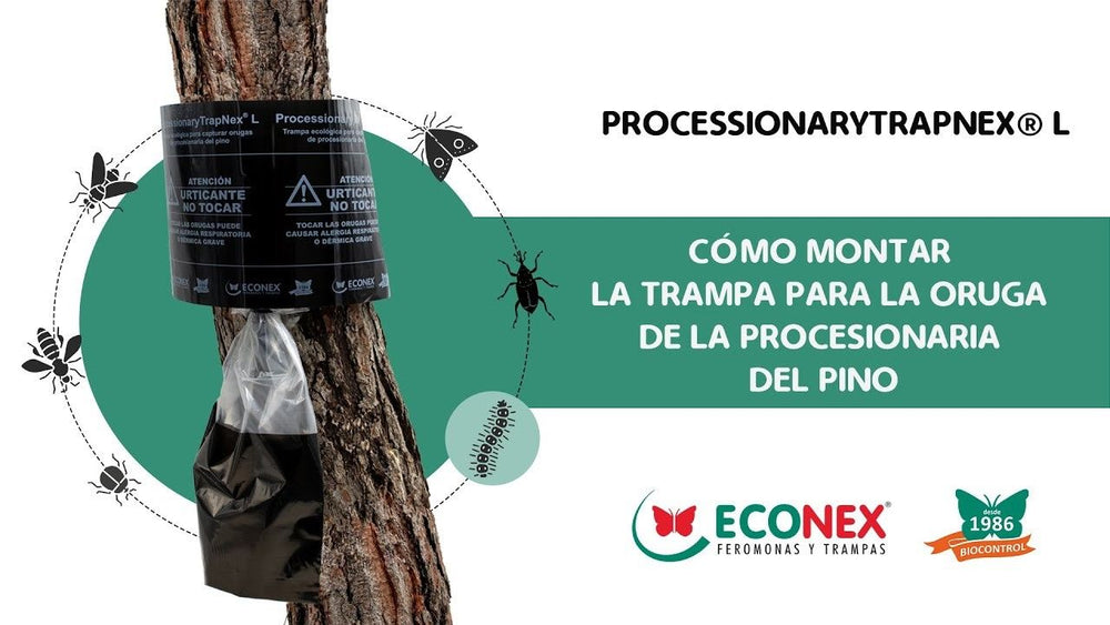 TRAMPA PARA  PROCESIONARIA ECO - 130 CM TRAPNEX