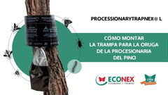ARMADILHA ECO PROCESSIONÁRIA - TRAPNEX 130 CM