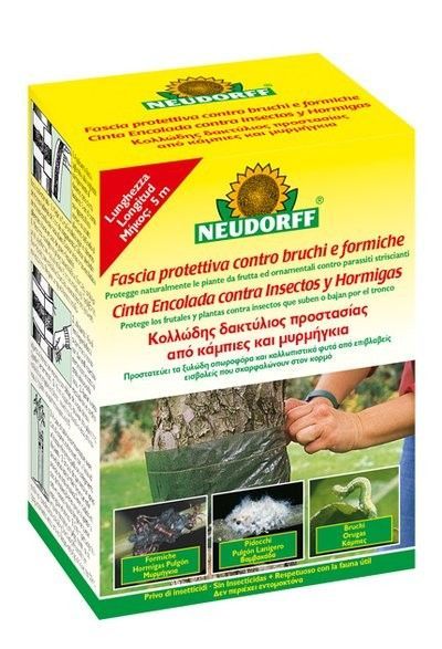 TRATAMIENTO ECOLOGICO CONTRA LA PROCESIONARIA MAXI