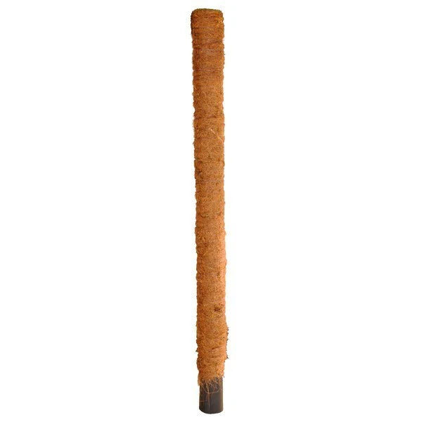 TUTOR FIBRA DE COCO 70-80 CM