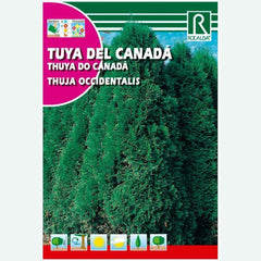 TUYA DEL CANADA - SOBRE DE SEMILLAS 0.5 GR.