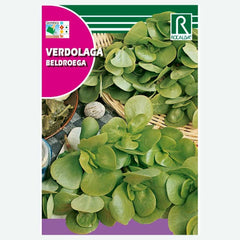 Beldroegas - ENVELOPE DE SEMENTES 4G