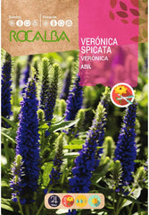 BLUE VERONICA SPICATA - ENVELOPE DE SEMENTES 1G