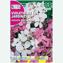 VIOLETA DOS JARDINS VARIADOS - ENVELOPE DE SEMENTES 6G