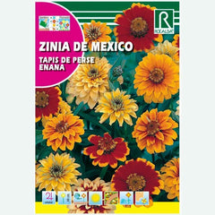 ZINIA DE MEXICO TAPIS DE PERSE DWARF - SEED ENVELOPE 3G