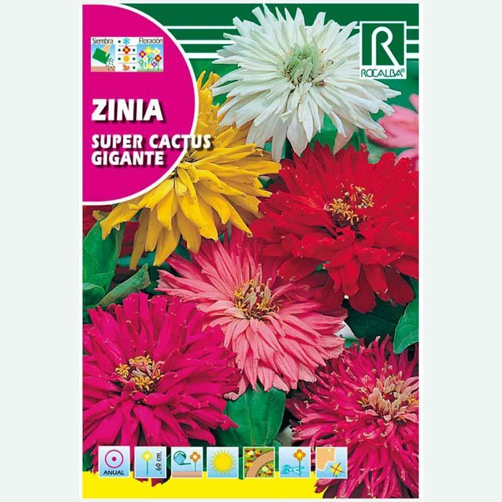 ZINIA SUPER CACTUS GÉANT VARIÉ - ENVELOPPE DE GRAINES 6G